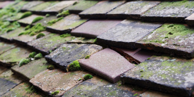Shingay roof repair costs